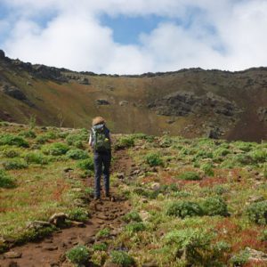 Wandern auf Lanzarote Tour 5: Monte Corona Krater