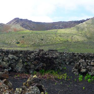 Wandern Lanzarote Tour 5: Monte Corona Vulkanismus