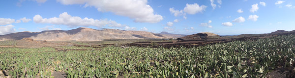 lanzatrekk wandern lanzarote magic lanzarote panorama