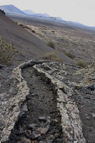 wanderurlaub lanzarote lanzatrekk