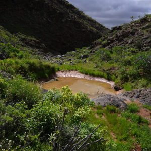 wanderurlaub lanzarote lanzatrekk