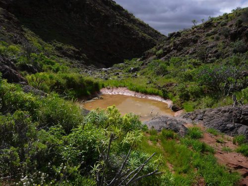 wanderurlaub lanzarote lanzatrekk