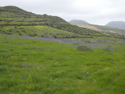 wanderurlaub lanzarote lanzatrekk