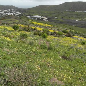 Wandern Lanzarote Tour 2