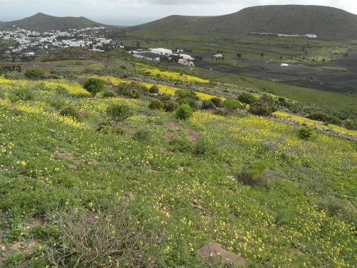 Wandern Lanzarote Tour 2