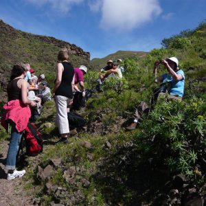 wanderurlaub lanzarote lanzatrekk