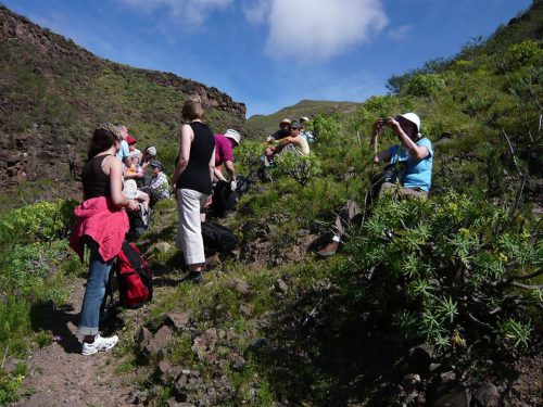 wanderurlaub lanzarote lanzatrekk