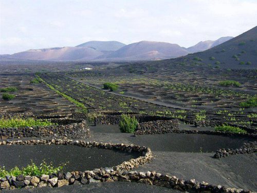 la geria wein wanderurlaub lanzarote lanzatrekk