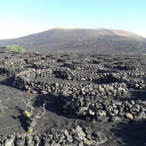 la geria wein wanderurlaub lanzarote lanzatrekk