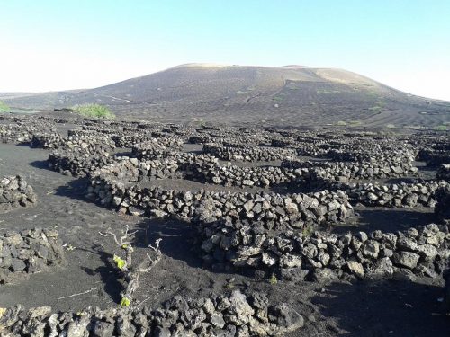 la geria wein wanderurlaub lanzarote lanzatrekk