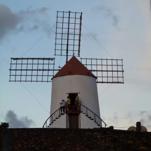 wanderurlaub lanzarote lanzatrekk jardin de cactus