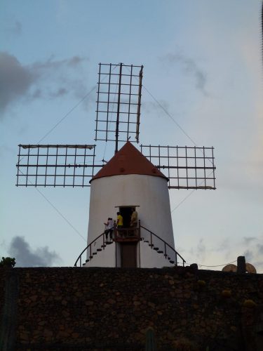 wanderurlaub lanzarote lanzatrekk jardin de cactus