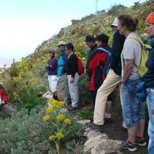 urlaub lanzarote lanzatrekk