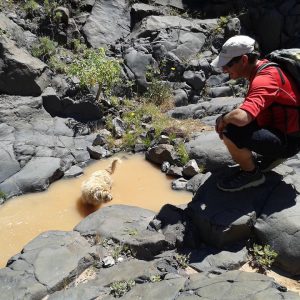 urlaub lanzarote